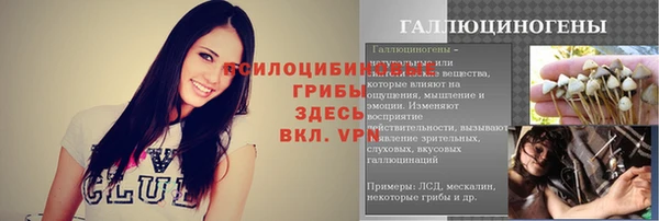 бошки Лагань