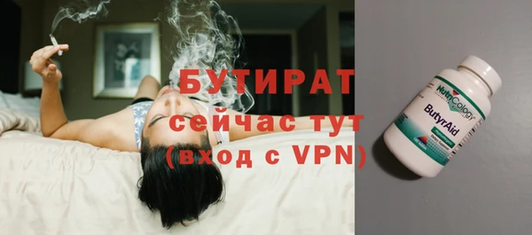 стаф Кулебаки