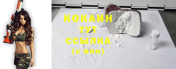 PSILOCYBIN Ладушкин