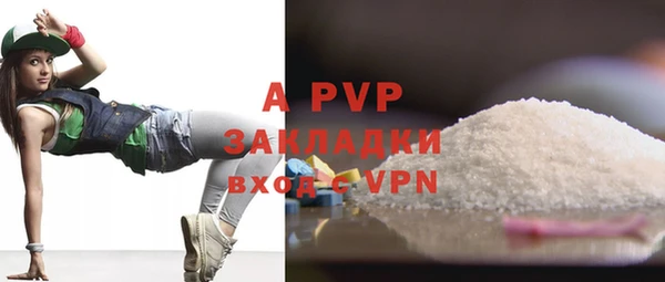 стаф Кулебаки