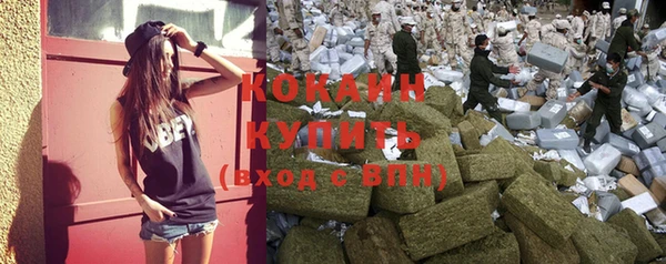 стаф Кулебаки