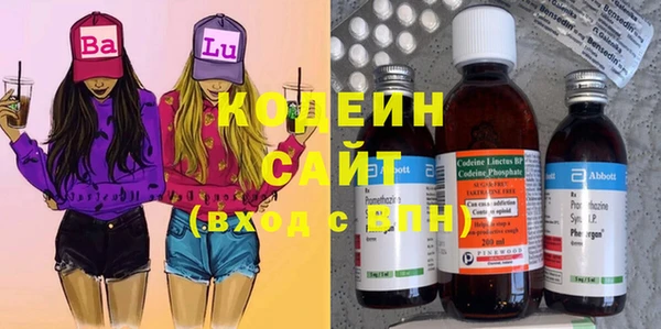 стаф Кулебаки