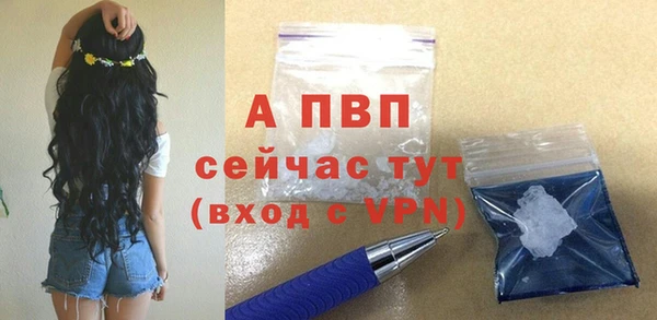 PSILOCYBIN Ладушкин